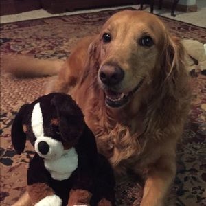 Meet your Posher, Trish